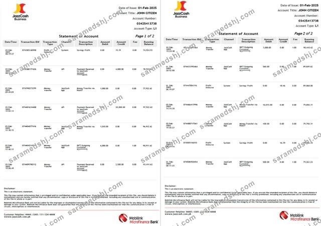 Pakistan Mobilink Microfinance Bank statement of account Word and PDF template, 2 pages